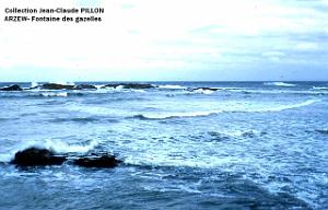 ARZEW 183- PILLON